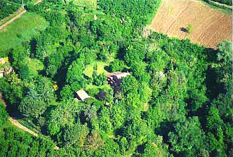 Questa è la Tana dei Lupi! Bed and Breakfast 01030 Corchiano (VT) Lazio Italy tel.00393388160264