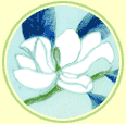 Camera "Magnolia"