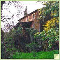 Agriturismo Bed & Breakfast Tuscia - Viterbo e Allevamento di Pastori Tedeschi - Tel. 338.816.02.64