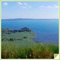Agriturismo Bed & Breakfast Tuscia - Viterbo e Allevamento di Pastori Tedeschi - Tel. 338.816.02.64