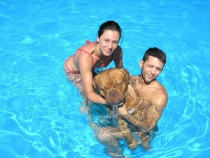 Agriturismo Bed and Breakfast Tuscia - Viterbo Lazio Italy e Allevamento del Pastore Tedesco - Tel. 338.816.02.64