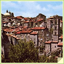 Agriturismo Bed & Breakfast Tuscia - Viterbo e Allevamento di Pastori Tedeschi - Tel. 338.816.02.64