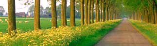 Agriturismo Bed and Breakfast Italy - Viterbo e Allevamento del Pastore Tedesco - Tel. 338.816.02.64