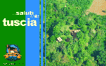 Scarica E Invia Le Nostre Cartoline