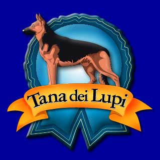 Tana dei Lupi Allevamento Pastore tedesco Addestramento Pensione per cani - Italia - Lazio - Viterbo