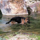 Clicca per lo ZOOM
