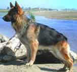 Clicca per lo ZOOM