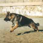 Clicca per lo ZOOM